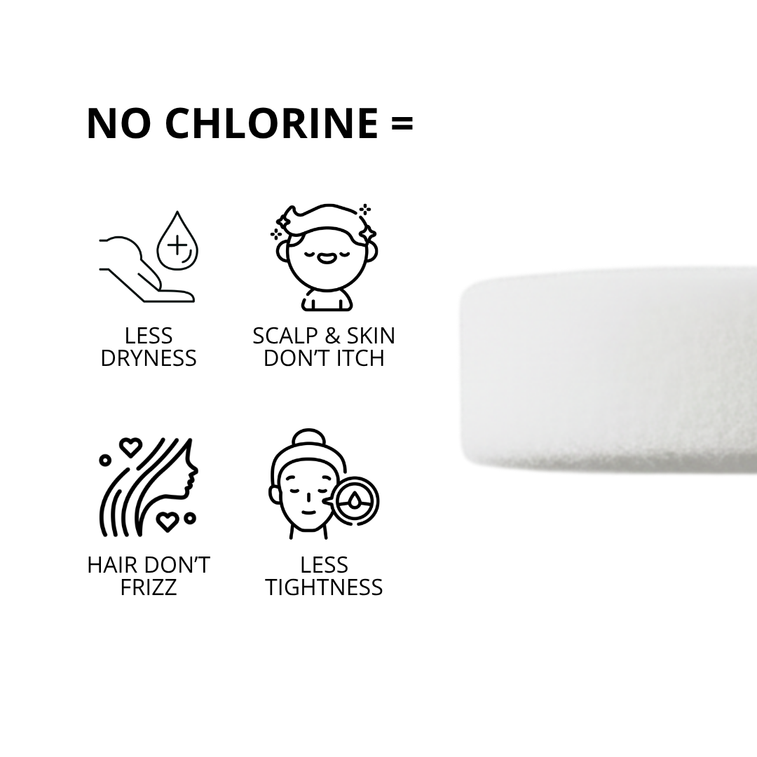 Travel Shower Filter
