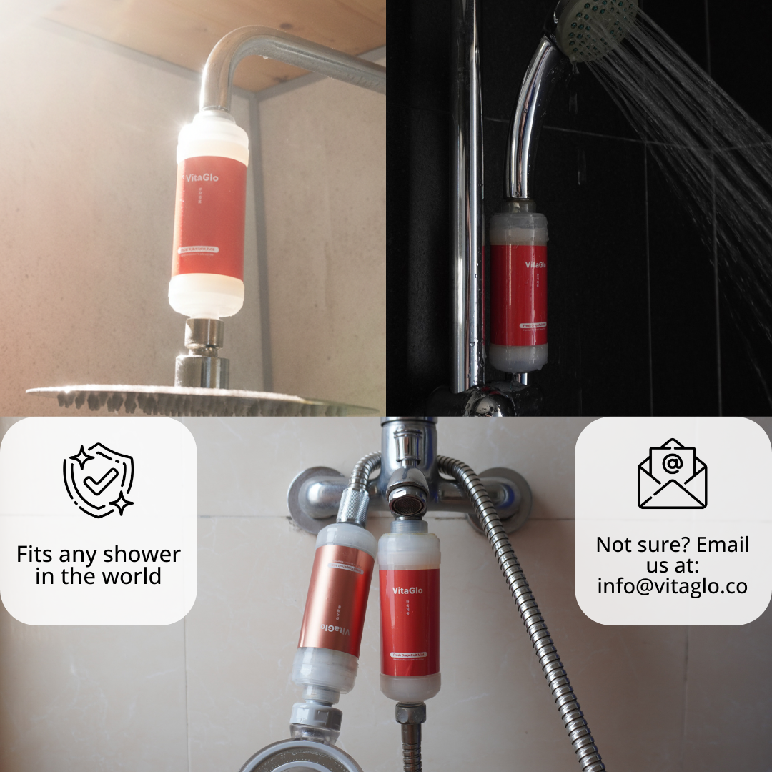 Travel Shower Filter