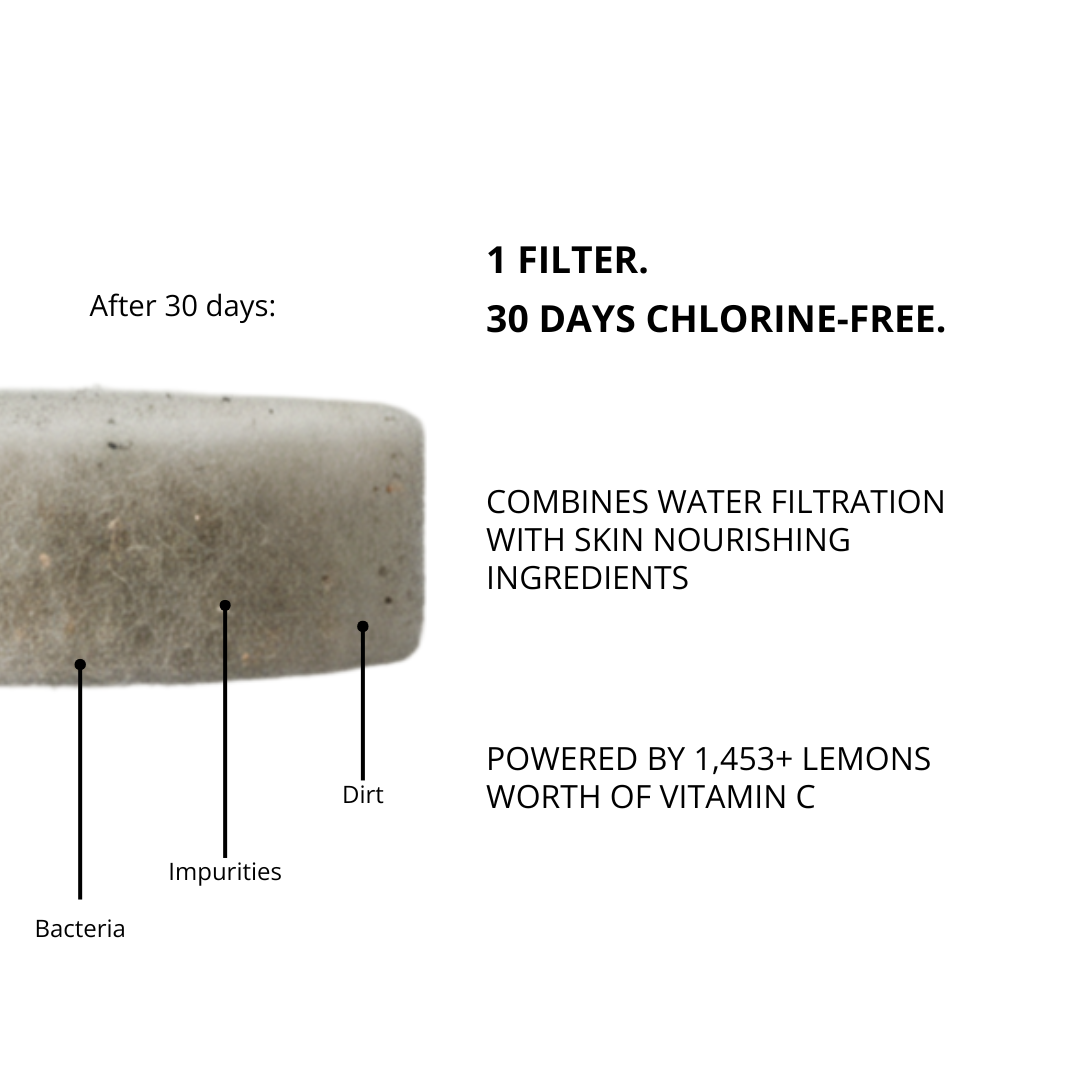 Vitamin C Shower Filter