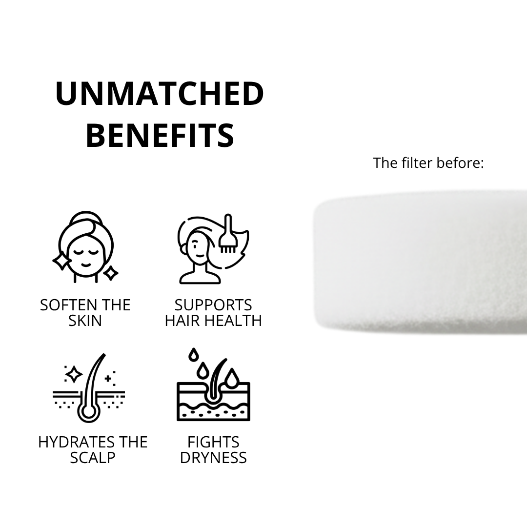 Vitamin C Shower Filter