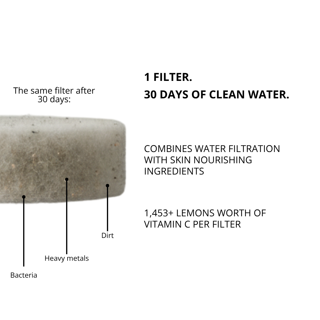 Vitamin C Shower Filter