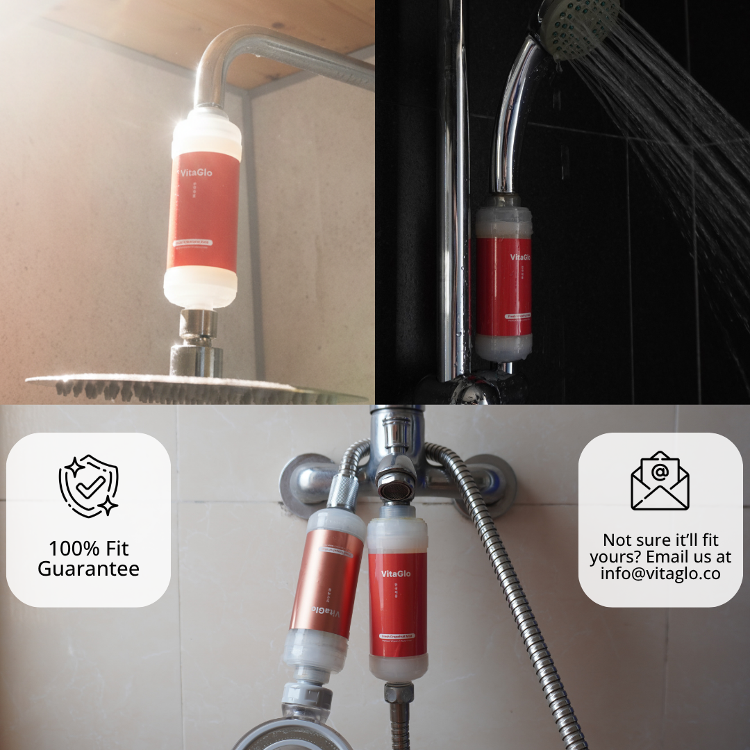 Vitamin C Shower Filter