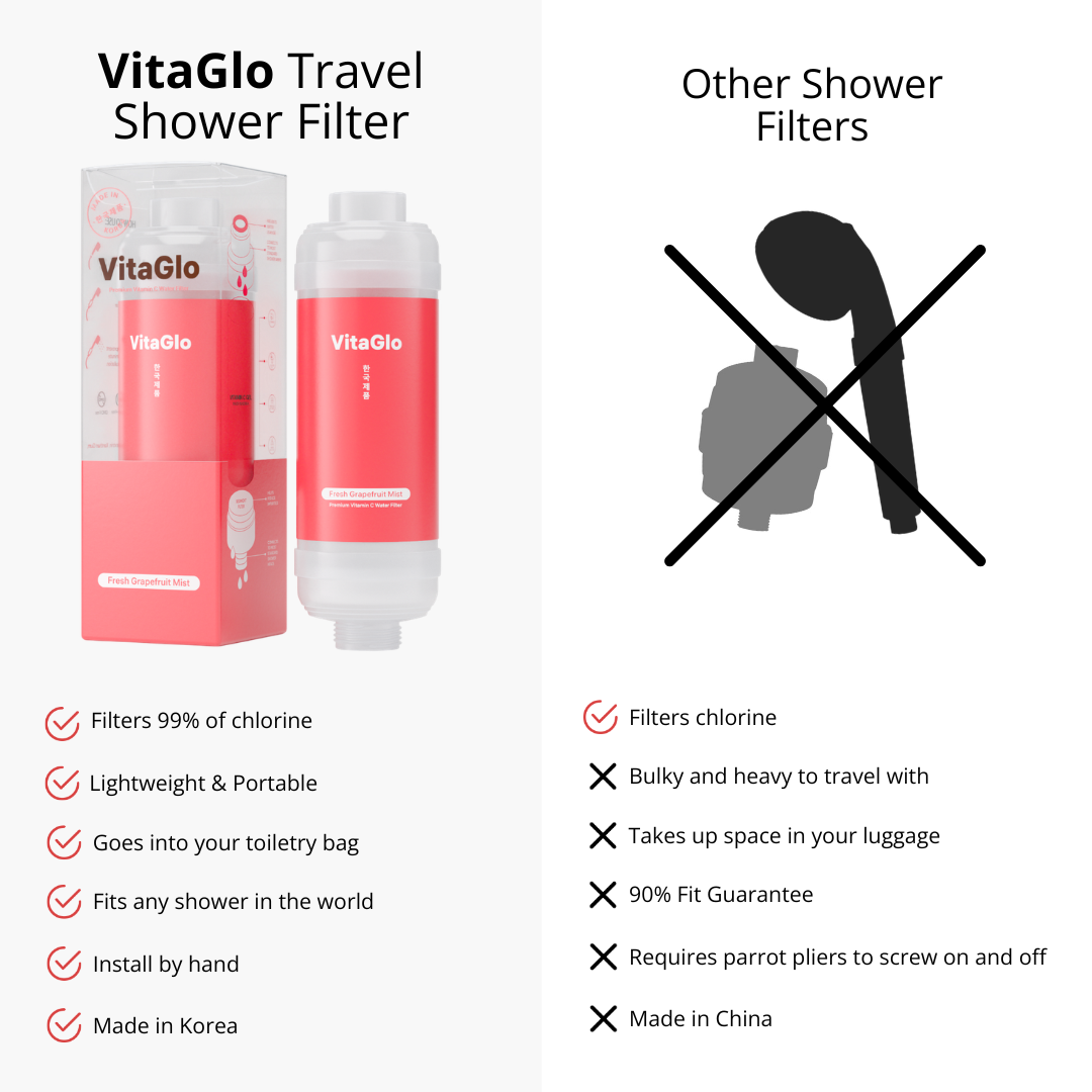 Travel Shower Filter