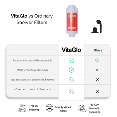 Vitamin C Shower Filter