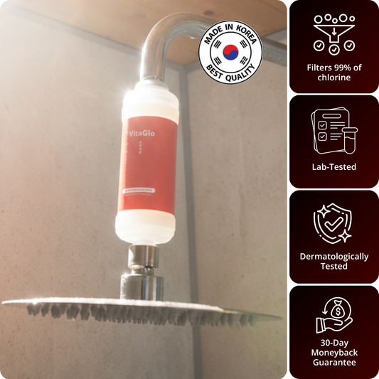 Vitamin C Shower Filter