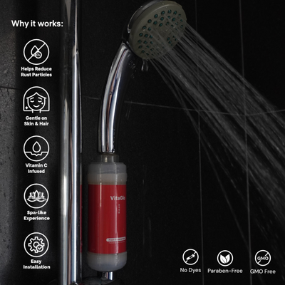 Vitamin C Shower Filter